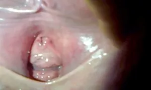 اندريه ولينا التشبث افلام سكس اجنبي مترجم تحميل المطبخ.