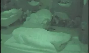 الحمار كان من قبل فتاة. تحميل افلام سكس اجنبية مترجمة